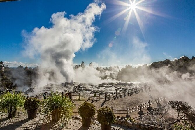 Waitomo Glow Worm Caves & Te Puia - Rotorua's Geothermal Valley - Key highlights to watch for