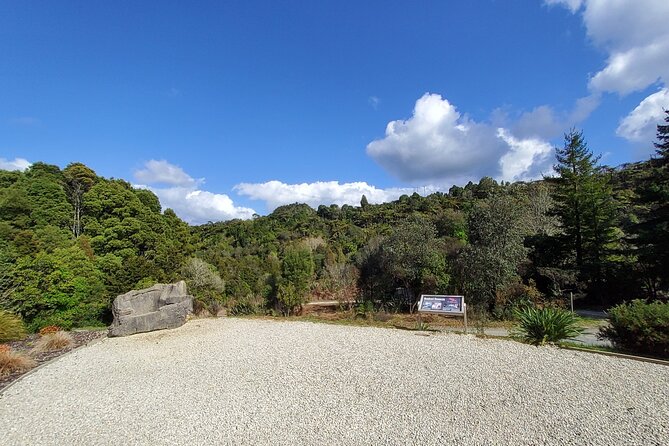 Waitomo Glowworm & Ruakuri Twin Cave Experience - Small Group Tour From Auckland - Morning Logistics: Auckland to Waikato With Comfort Breaks