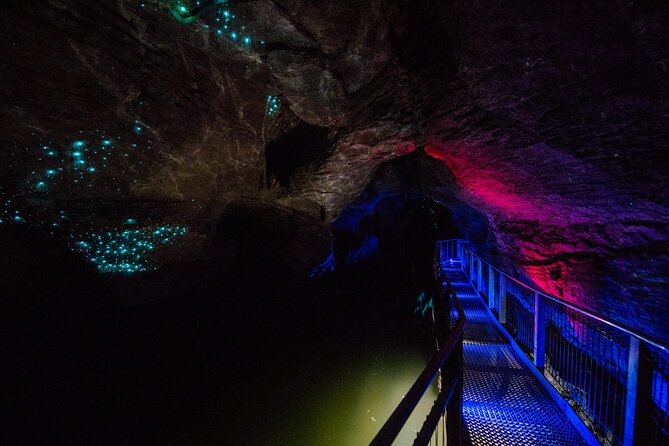 Waitomo Glowworm & Ruakuri Twin Cave - Private Tour From Auckland - Why this twin-cave day trip works from Auckland