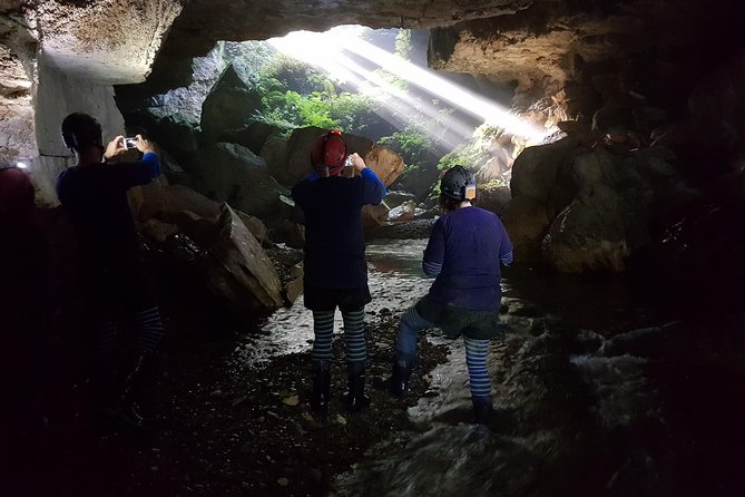 Waitomo’s Hidden Gem: Small-Group Off the Beaten Track Tour - The creek-and-water reality (and how to handle wet sections)